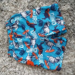 3/$20 Laguna boys swim shorts